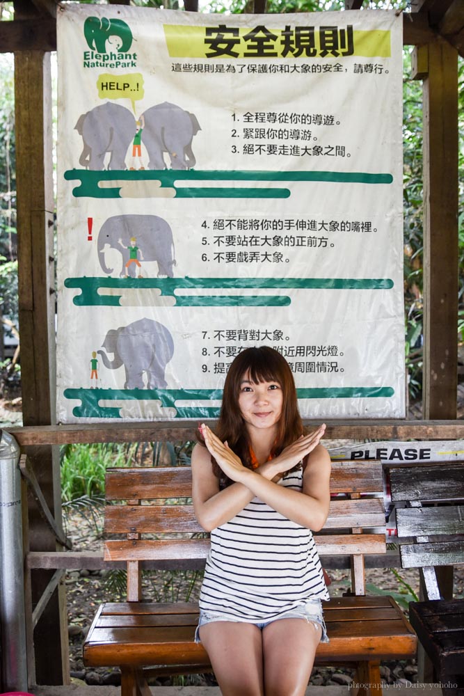 大象自然公園, 大象公園, elephant nature park, 清邁景點, 清邁自由行, 清邁自助, 大象保育