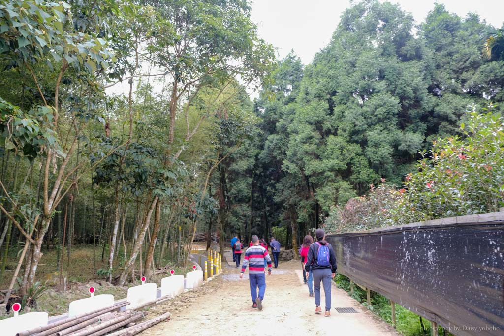 孟宗竹林古戰場｜長源圳生態步道，南投鹿谷小半天風景區的山間步道