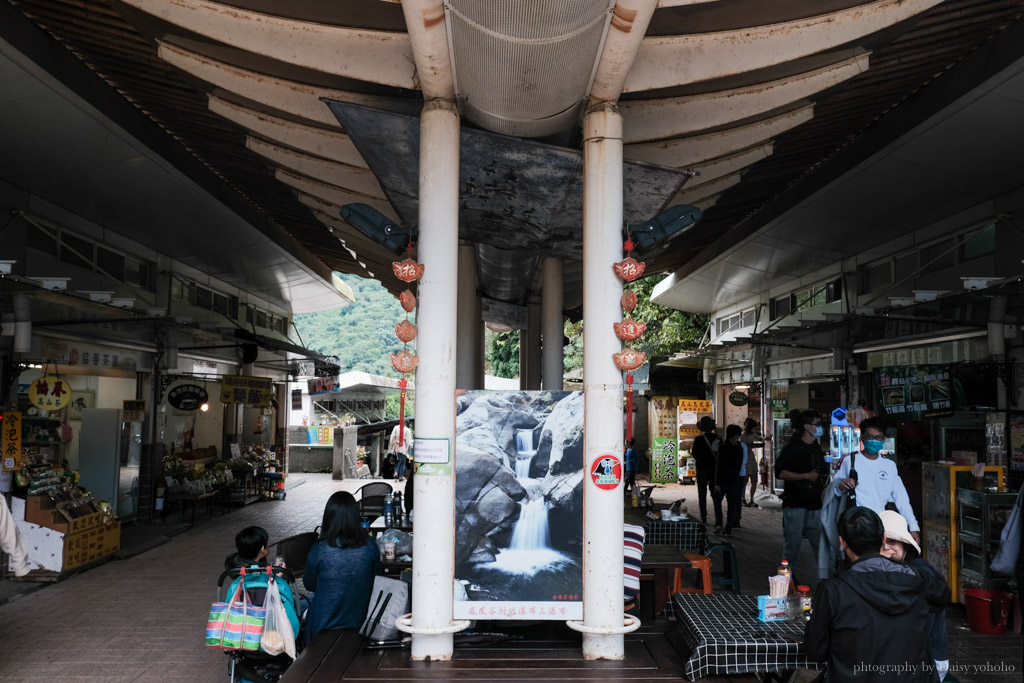 鳳凰谷鳥園生態園區, 鳳凰谷森林溜滑梯, 鳳凰谷門票, 鳳凰谷露營, 鹿谷景點