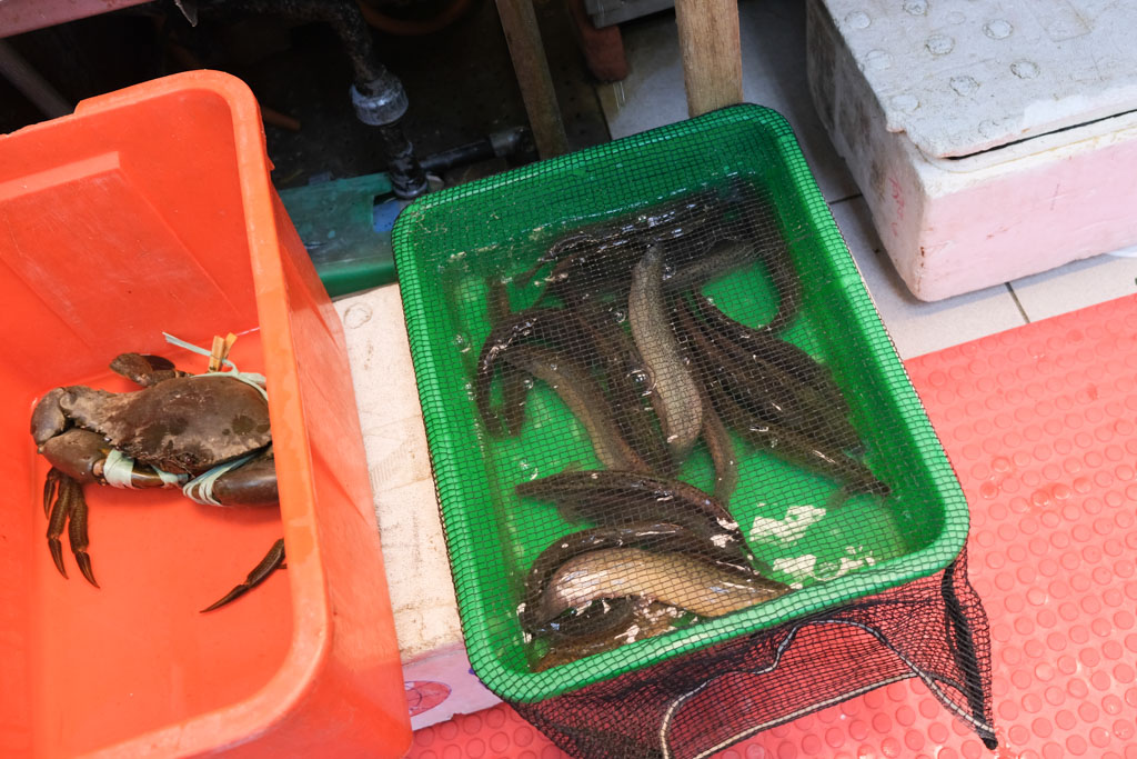 安平生猛海鮮餐廳｜慶平海產，跟著《鬧著玩》腳步到安平港旁大啖海鮮！
