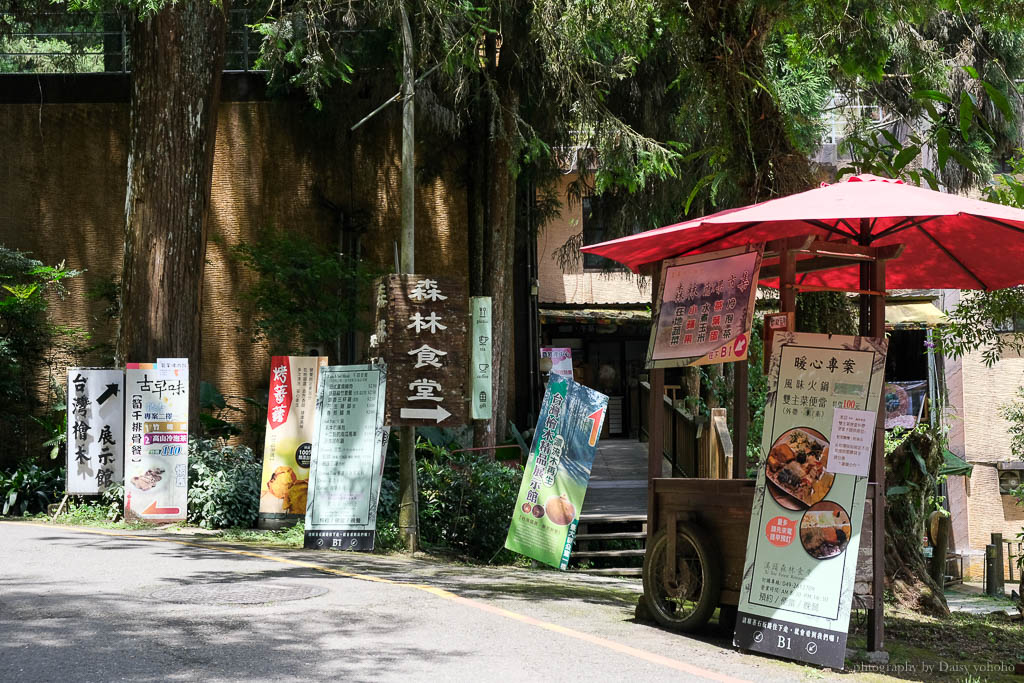 溪頭自然教育園區｜散步到美美的大學池，懶惰的可以搭接駁車。溪頭門票優惠