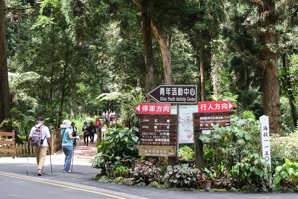 溪頭自然教育園區, 溪頭露營, 溪頭森林遊樂區, 大學池, 溪頭景點, 南投景點, 溪頭門票優惠