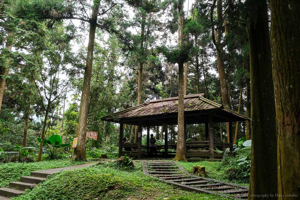 溪頭自然教育園區, 溪頭露營, 溪頭森林遊樂區, 大學池, 溪頭景點, 南投景點, 溪頭門票優惠