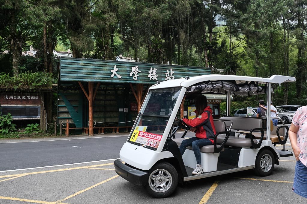 溪頭自然教育園區, 溪頭露營, 溪頭森林遊樂區, 大學池, 溪頭景點, 南投景點, 溪頭門票優惠