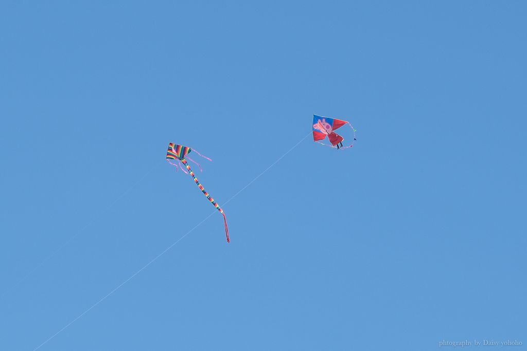 安平放風箏好去處「林默娘公園」毛小孩奔跑、小孩滑草玩泡泡親子活動地