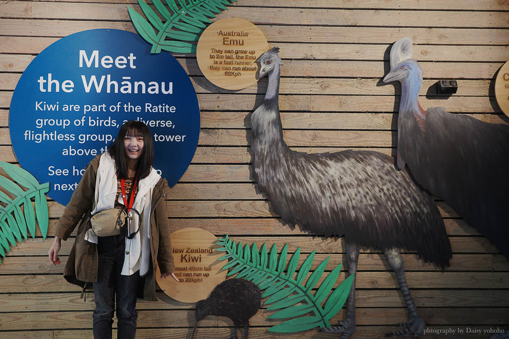 紐西蘭, 皇后鎮景點, 奇異鳥鳥類生態公園, Kiwi Birdlife Park Queenstown, 奇異鳥公園