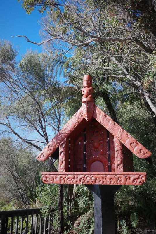 蒂普亞毛利文化村, 羅托路亞景點, 紐西蘭毛利人, 紐西蘭地熱園區, 普胡圖間歇性噴泉, 奇異鳥參觀
