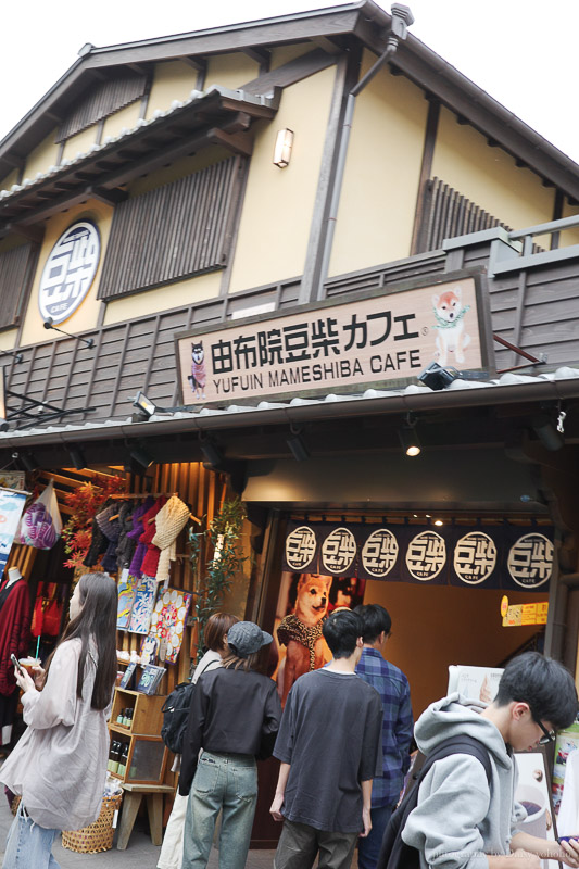 【由布院一日遊】人力車初體驗，用不同角度欣賞九州童話小鎮！美食、景點攻略