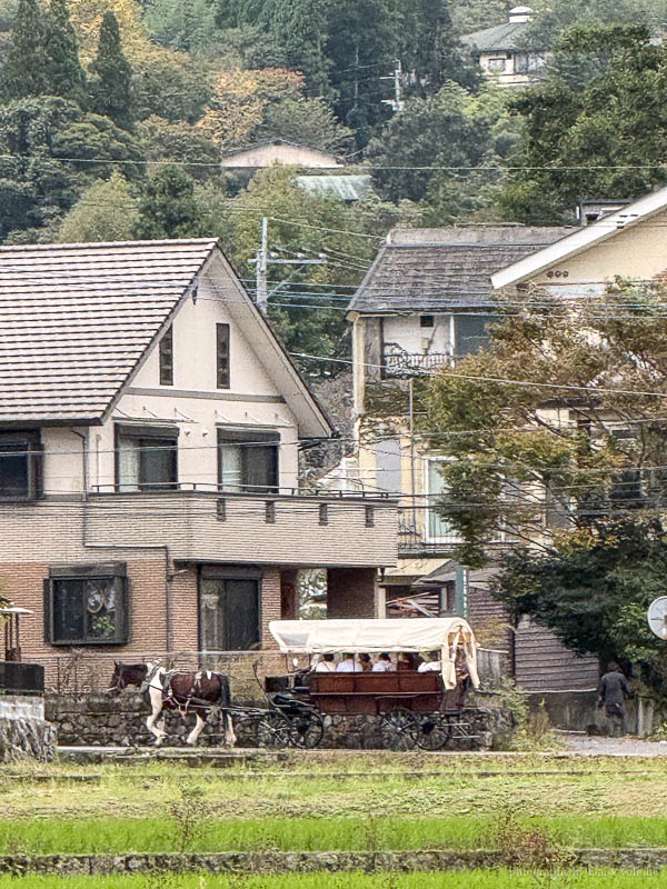 【由布院一日遊】人力車初體驗，用不同角度欣賞九州童話小鎮！美食、景點攻略