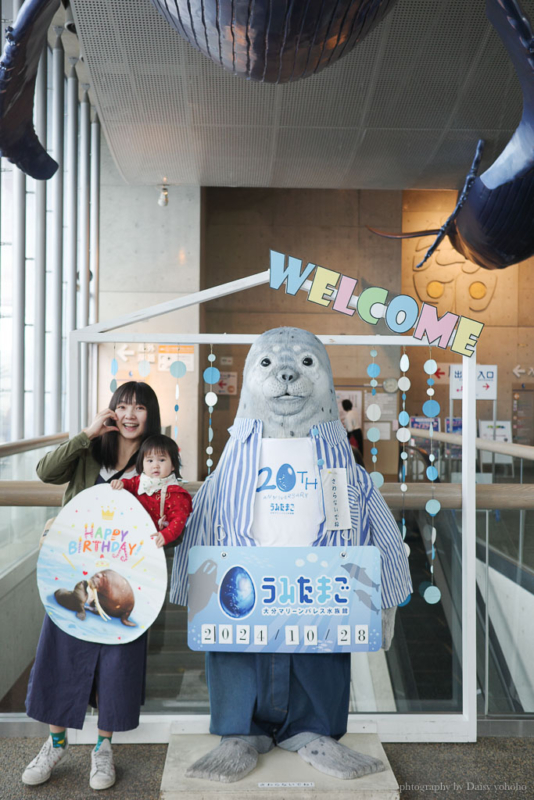 大分海洋宮水族館「海之卵」，親手觸摸海象、魟魚，海豚缸中悠遊玩耍的可愛