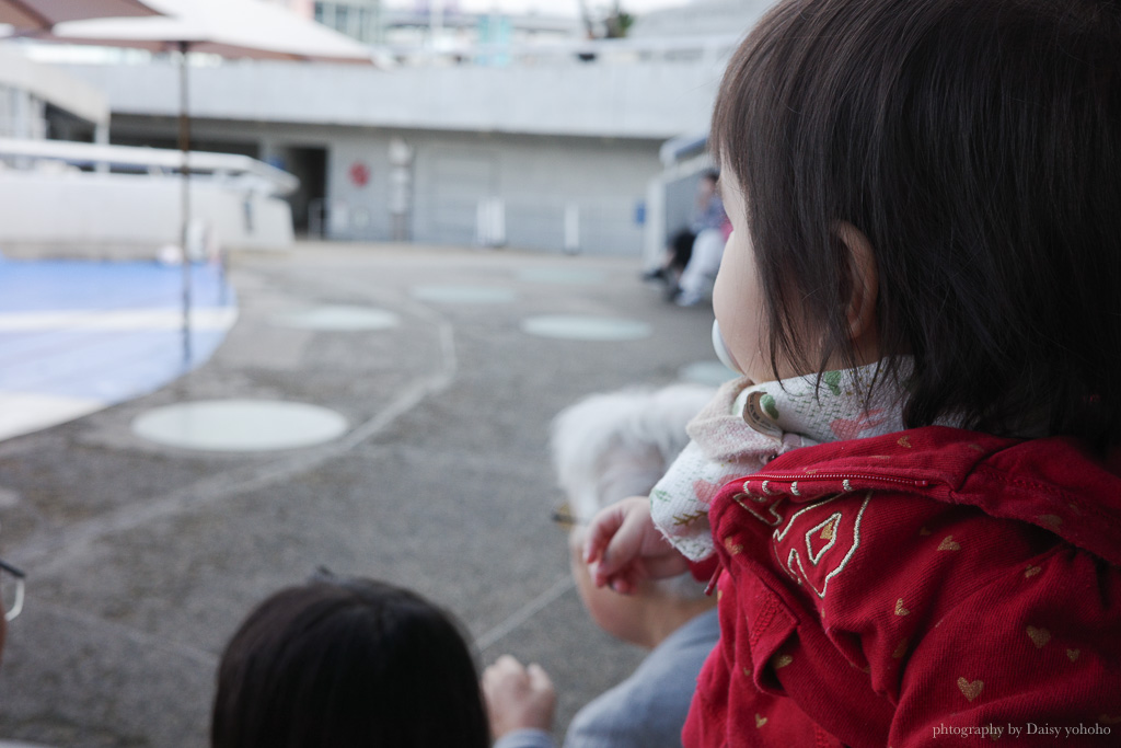 大分海洋宮水族館「海之卵」，親手觸摸海象、魟魚，海豚缸中悠遊玩耍的可愛