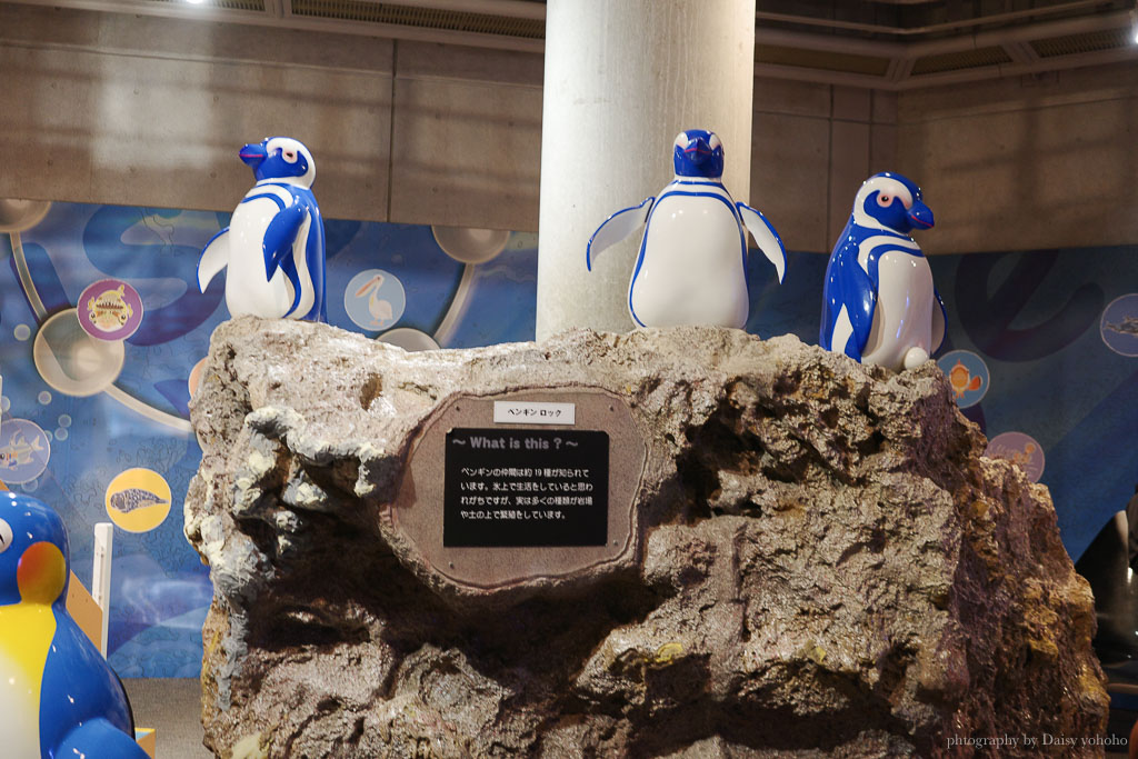 大分海洋宮水族館「海之卵」，親手觸摸海象、魟魚，海豚缸中悠遊玩耍的可愛