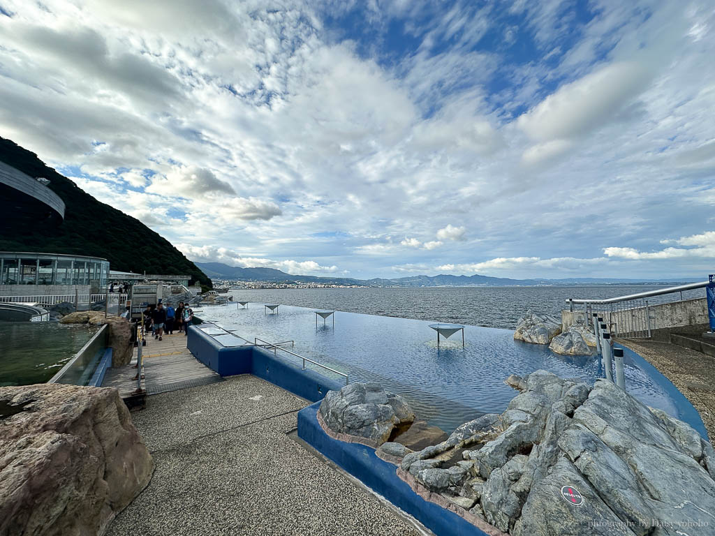 大分海洋宮水族館「海之卵」，親手觸摸海象、魟魚，海豚缸中悠遊玩耍的可愛