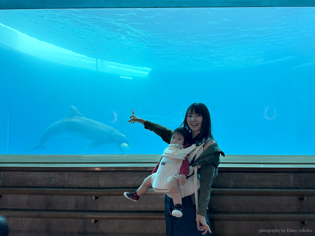 大分海洋宮水族館「海之卵」，親手觸摸海象、魟魚，海豚缸中悠遊玩耍的可愛