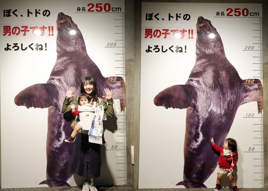 大分海洋宮水族館「海之卵」，親手觸摸海象、魟魚，海豚缸中悠遊玩耍的可愛