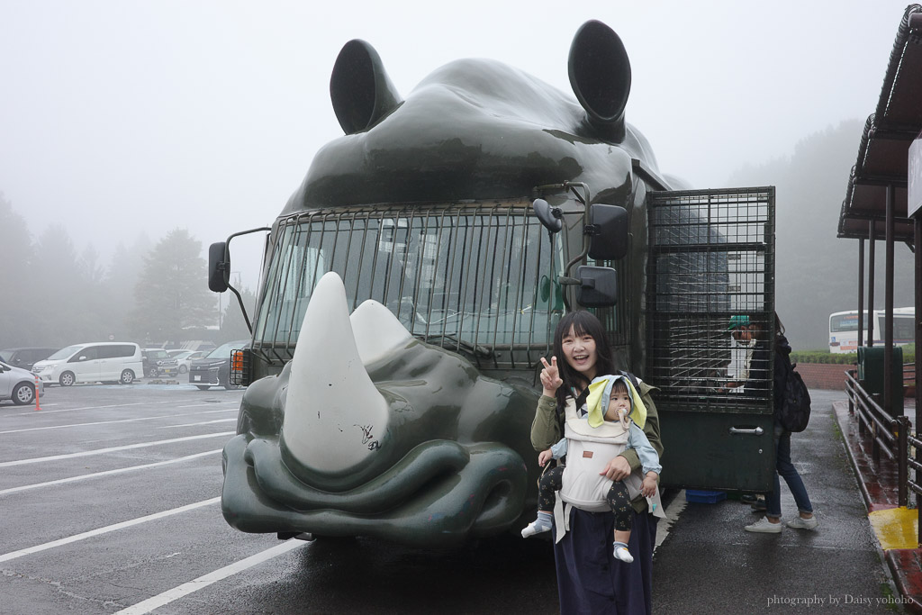 九州自然動物園，搭「叢林巴士」餵獅子吃肉！超人氣野生動物園，九州必去親子景點！