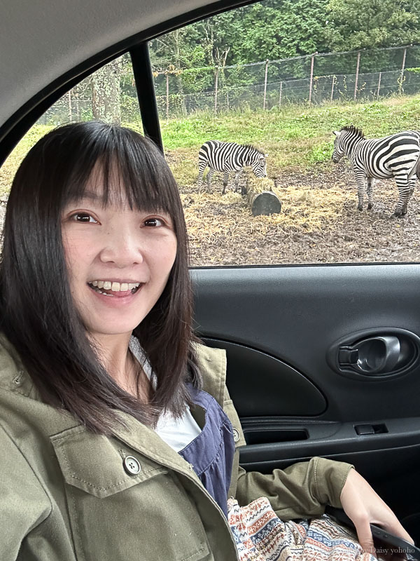 九州自然動物園，搭「叢林巴士」餵獅子吃肉！超人氣野生動物園，九州必去親子景點！