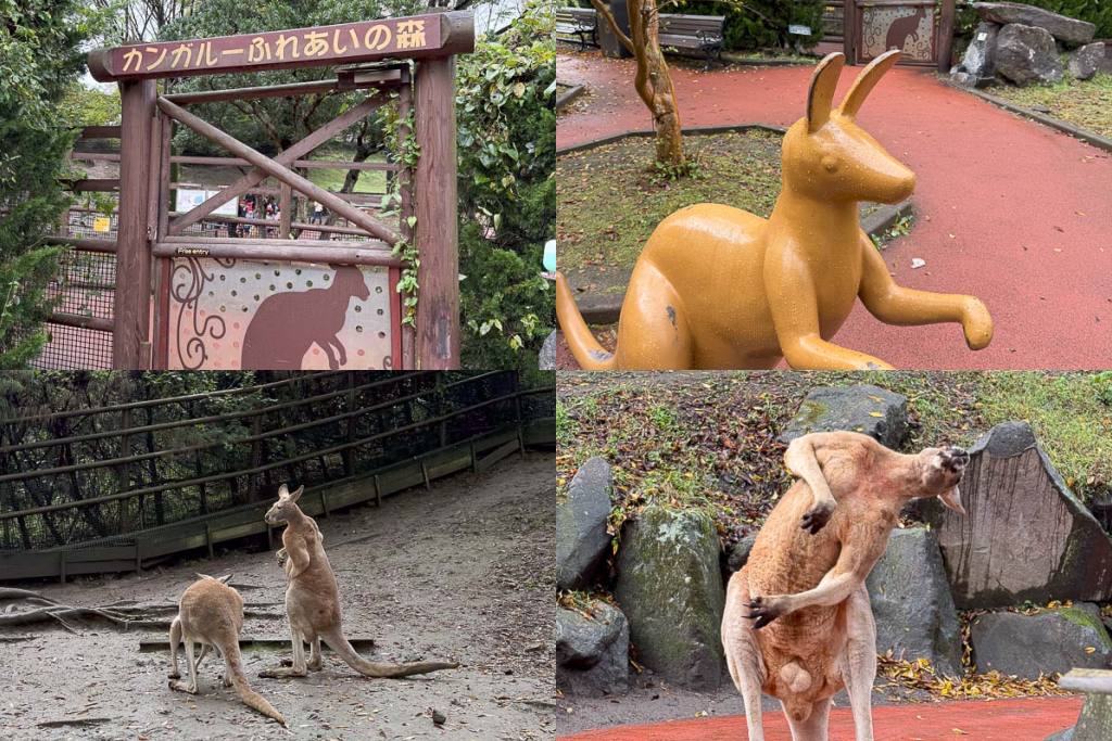 九州自然動物園，搭「叢林巴士」餵獅子吃肉！超人氣野生動物園，九州必去親子景點！