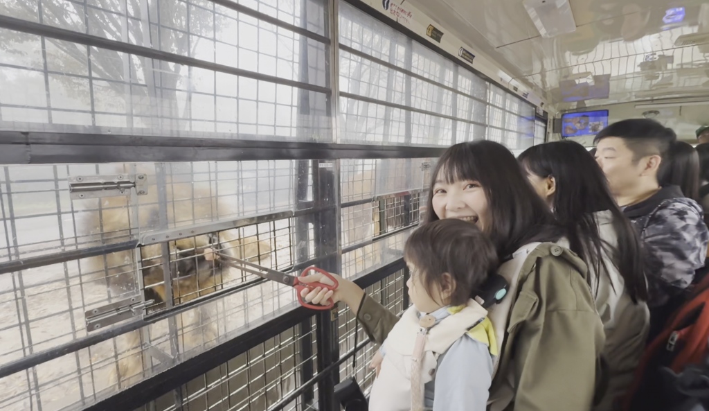 九州自然動物園，搭「叢林巴士」餵獅子吃肉！超人氣野生動物園，九州必去親子景點！